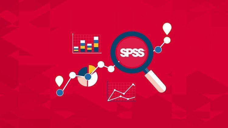 SPSS Analiz Hizmeti